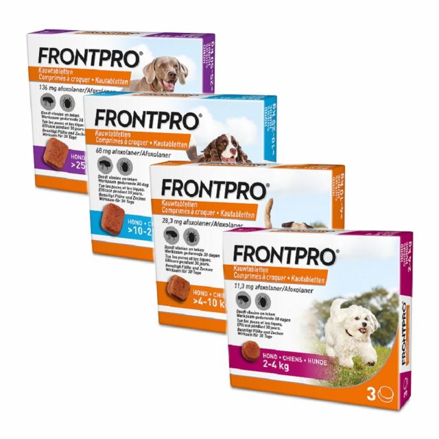 Frontpro | Hond