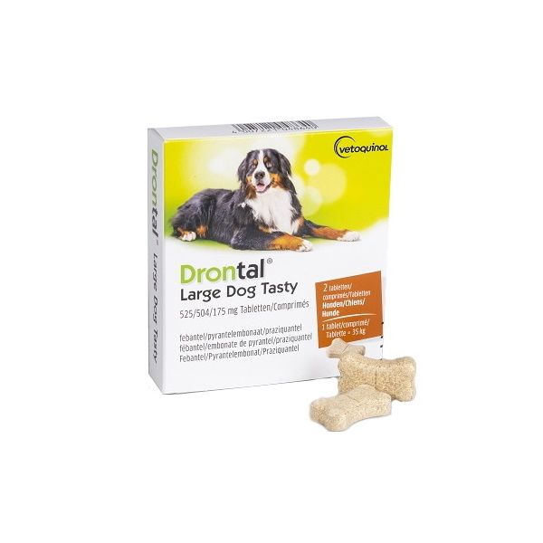 Drontal sales large dog