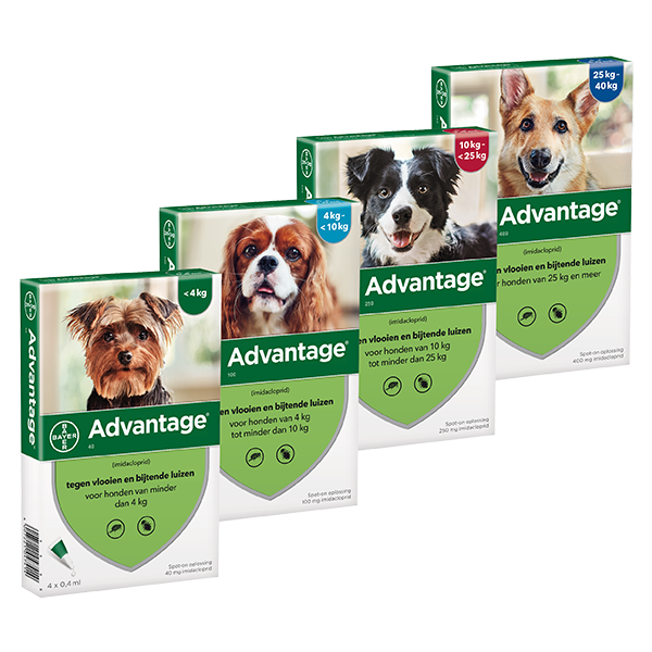 Advantage | Vlooiendruppels voor honden