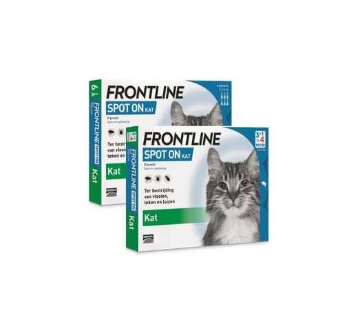 Verstenen Kelder Chronisch Frontline Spot-On kat