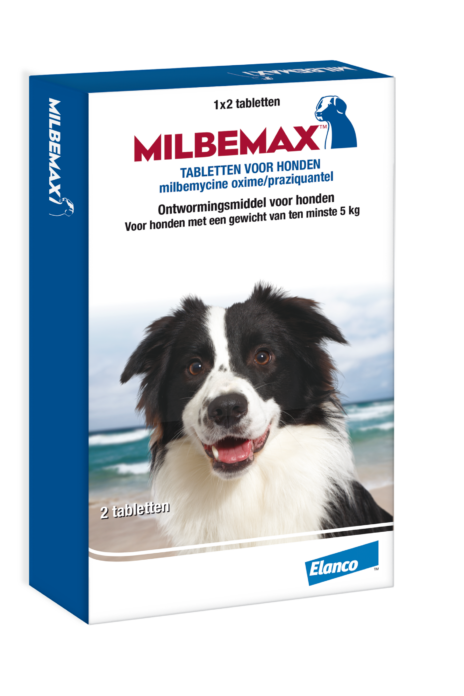 Milbemax hond M | 12,5 mg/125 mg | 50 tabletten  | EXP 31-08-2026