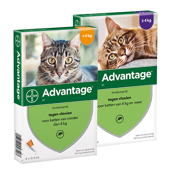 Advantage