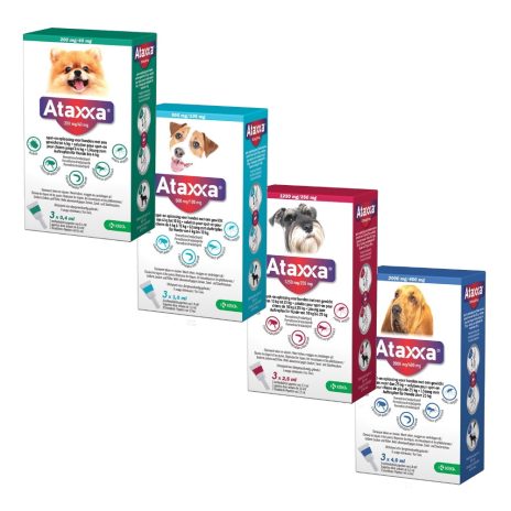 Ataxxa spot-on hond