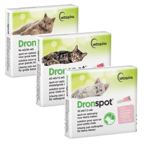 Dronspot kat