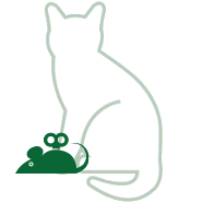 Kattenspeelgoed