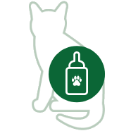 Kittenmelk