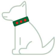 Veiligheid
