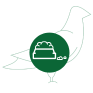 Vogelvoer