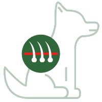 Atopie