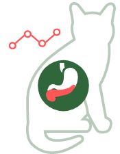 Suikerziekte - Diabetes mellitus
