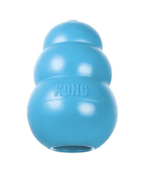 Kong Puppy | Blauw | Maat L (13-30 kg)