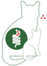 Probiotica